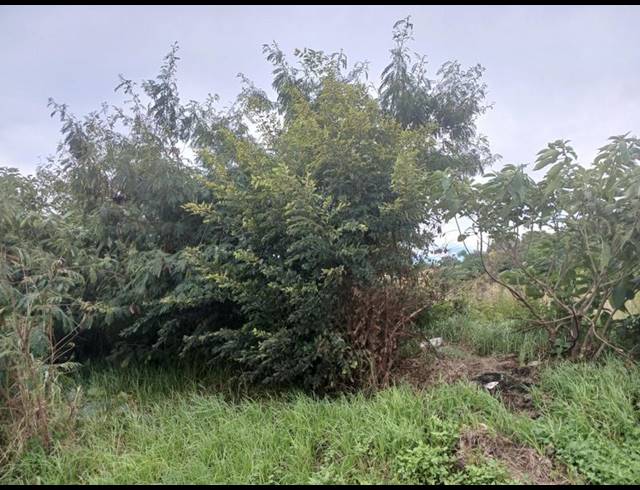 LAND FOR SALE IN ZAKARIYYA PARK